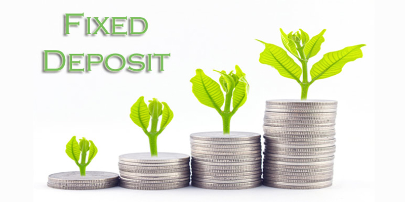 Company Fix Deposits