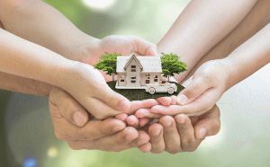 Wealth Management